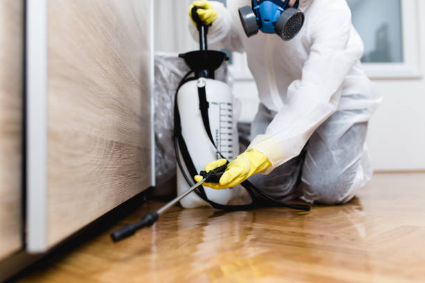 Best Flea Control Services  in Poland, OH