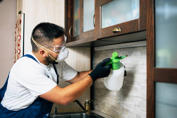 Best Affordable Pest Control Services  in Poland, OH