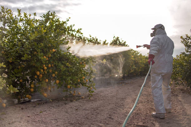 Best Commercial Pest Control Services  in Poland, OH