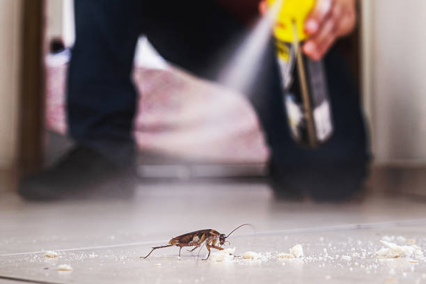 Best Spider Control Near Me  in Poland, OH