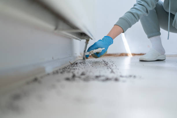 Pest Control for Restaurants in Poland, OH